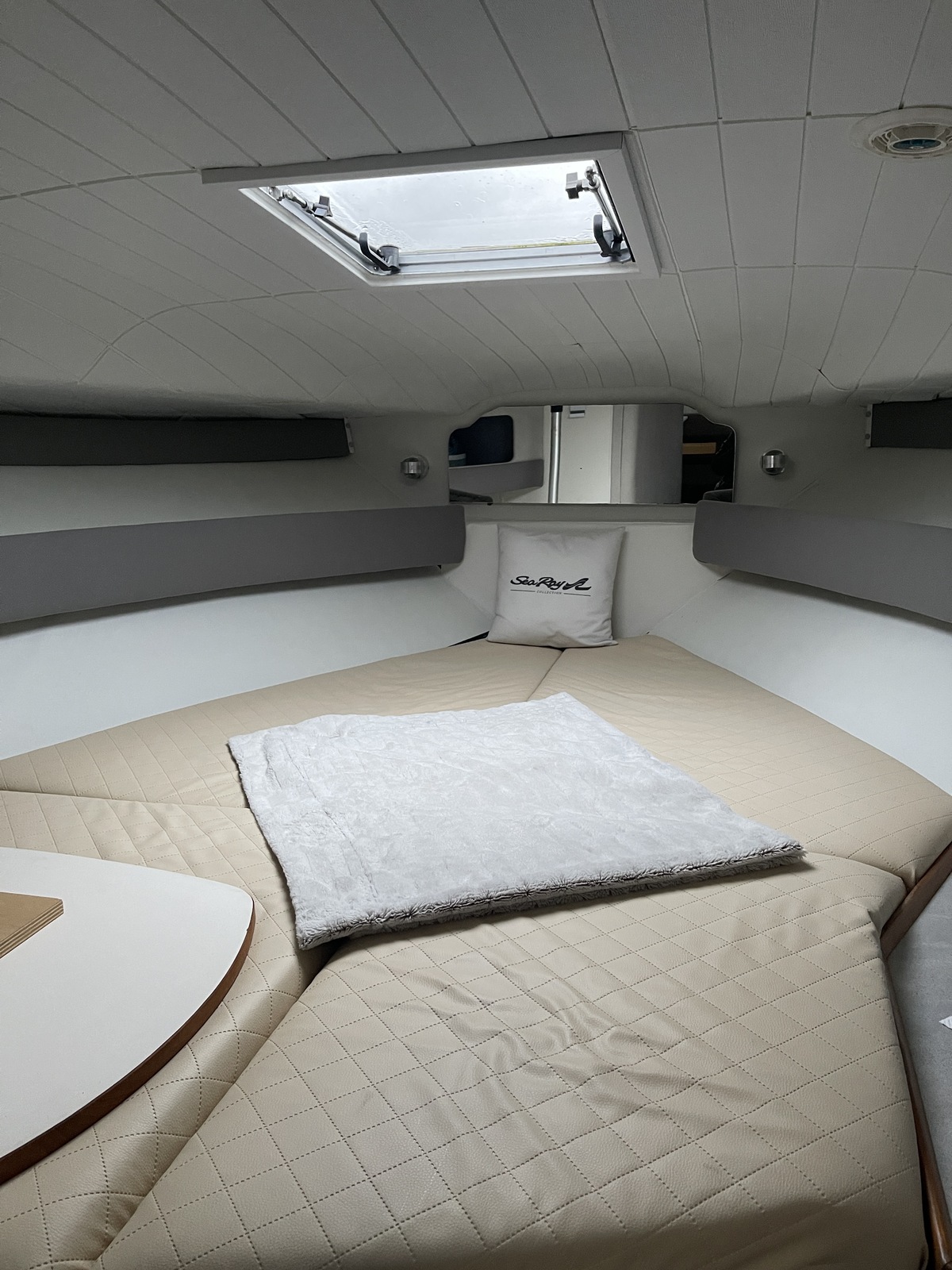 foto: 40 Sea Ray 310 Sundancer 
