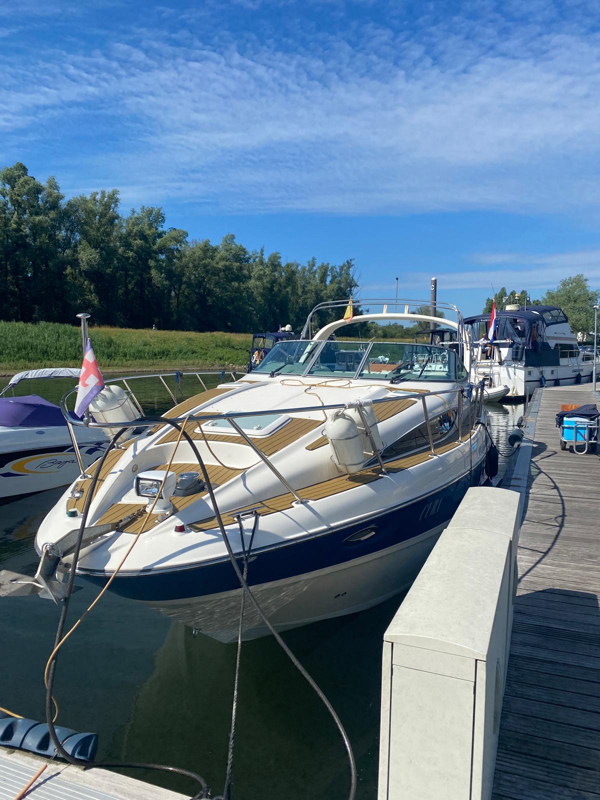 foto: 3 Bayliner  305