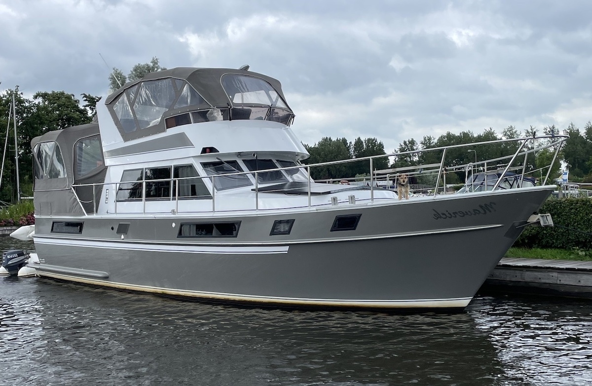 hoofdfoto: 1 Blauwe Hand Commander