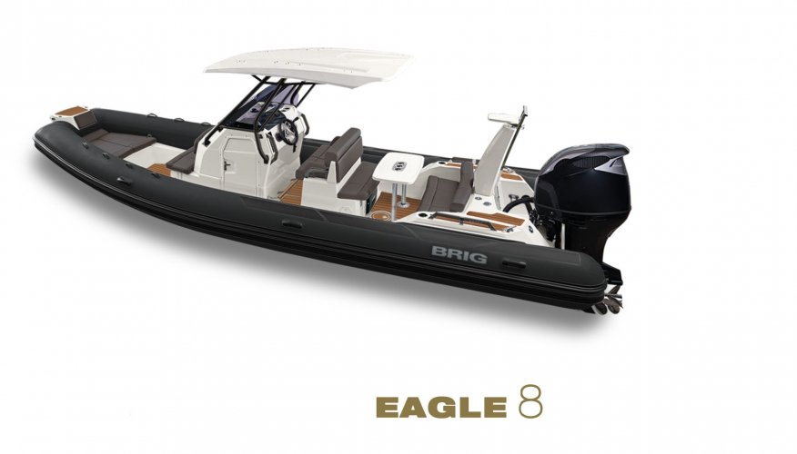 Brig Eagle 8