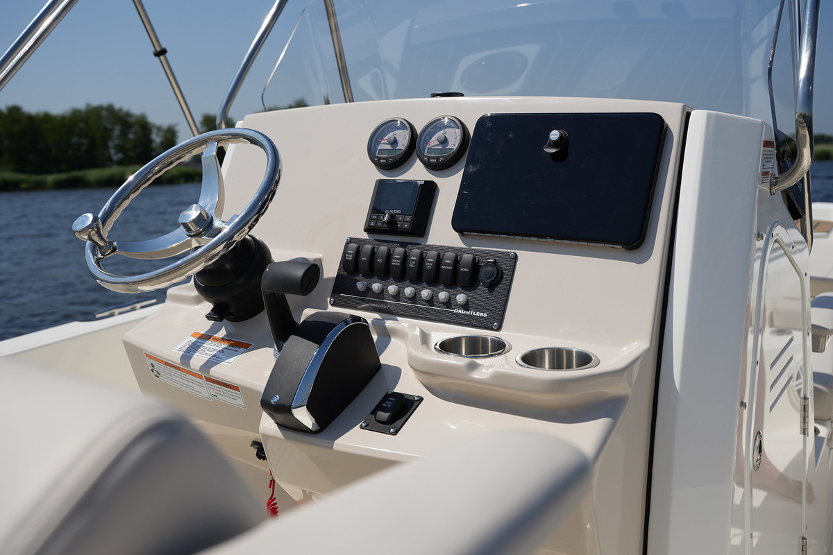 foto: 35 Boston Whaler 250 Dauntless