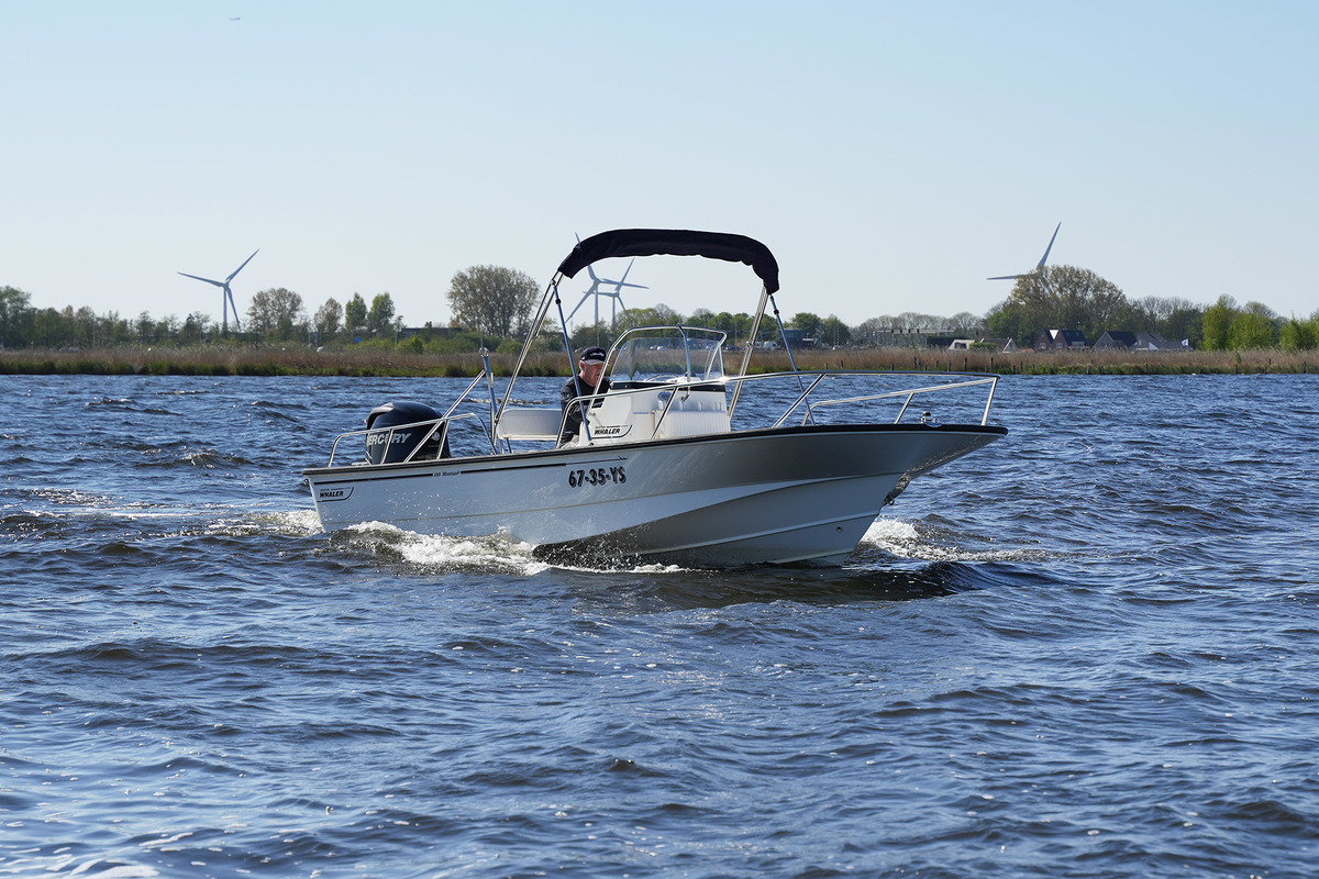 foto: 31 Boston Whaler 190 Montauk