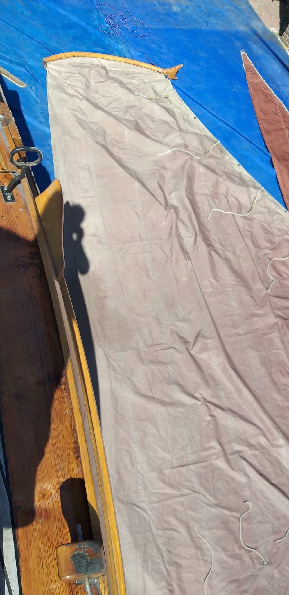 foto: 58 Brandsma Zeeschouw Platbodem