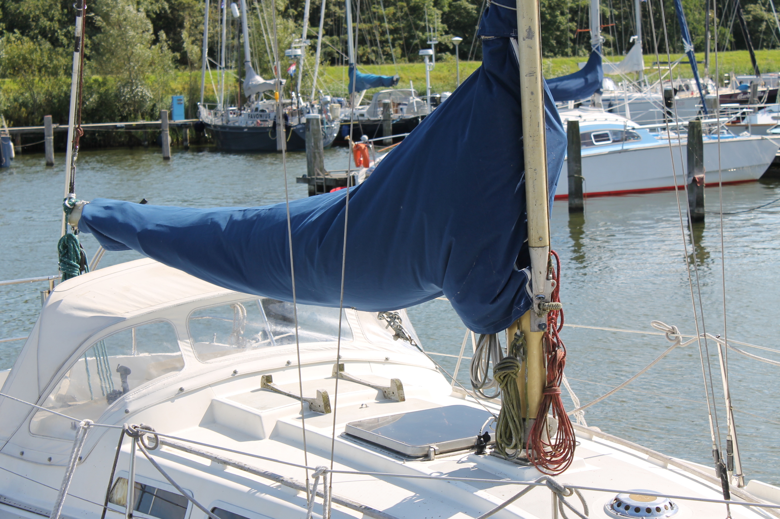 foto: 43 Contest 30 B