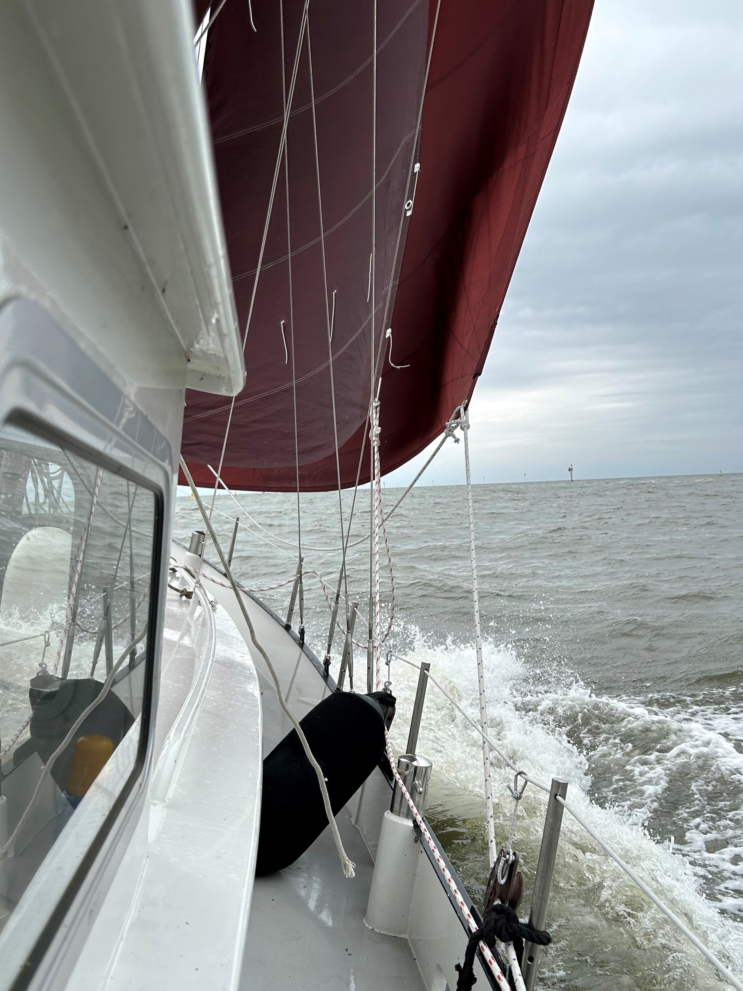 foto: 18 Danish Rose 31
