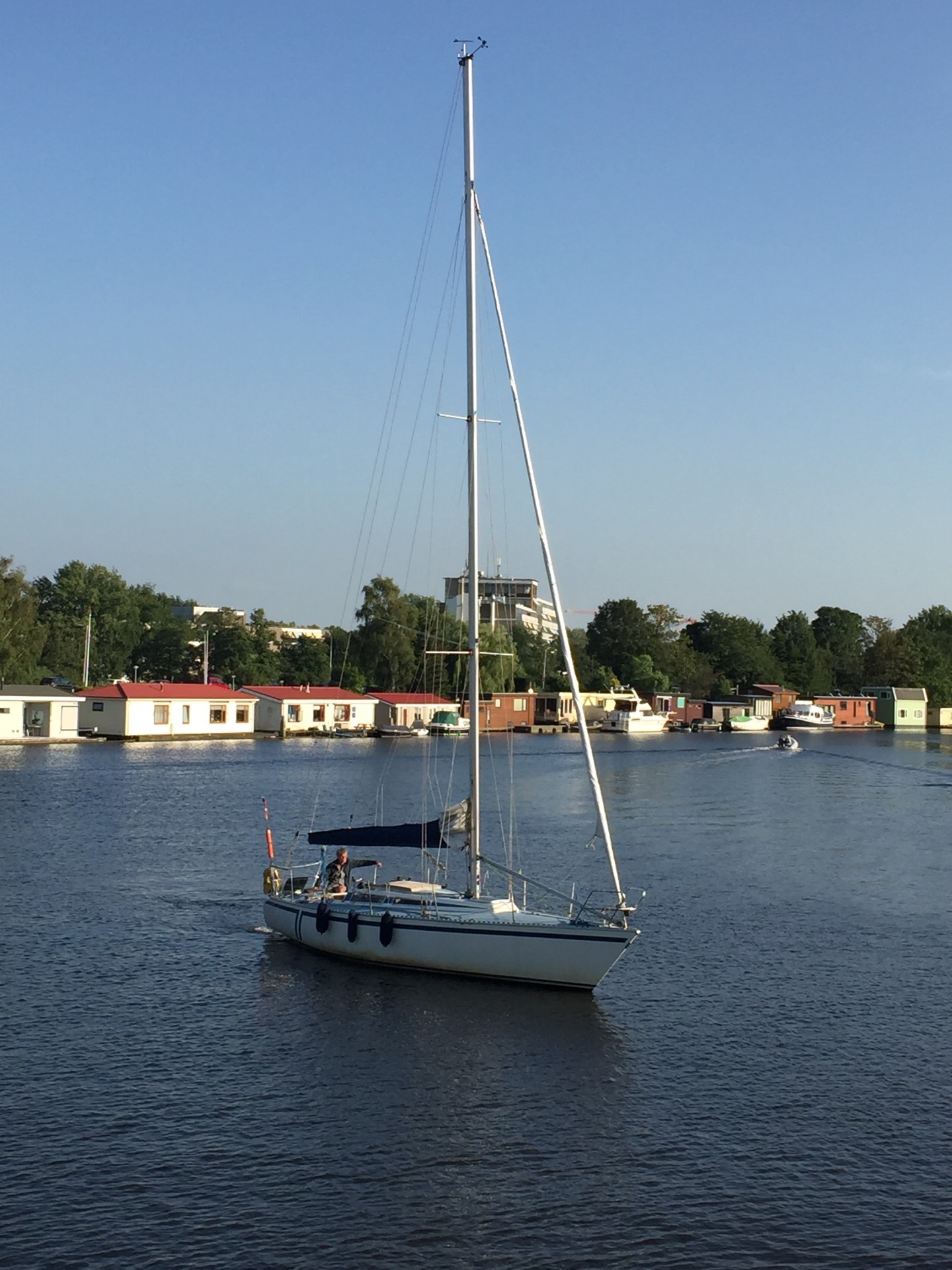 foto: 17 Fly 34 Mosquito 104