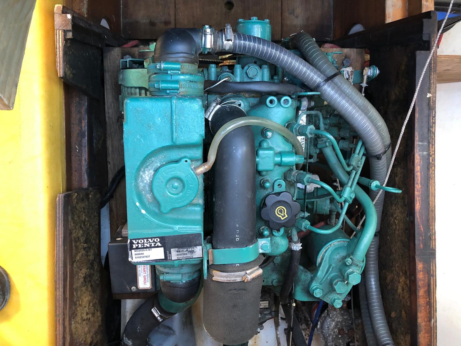 foto: 18 Fly 34 Mosquito 104