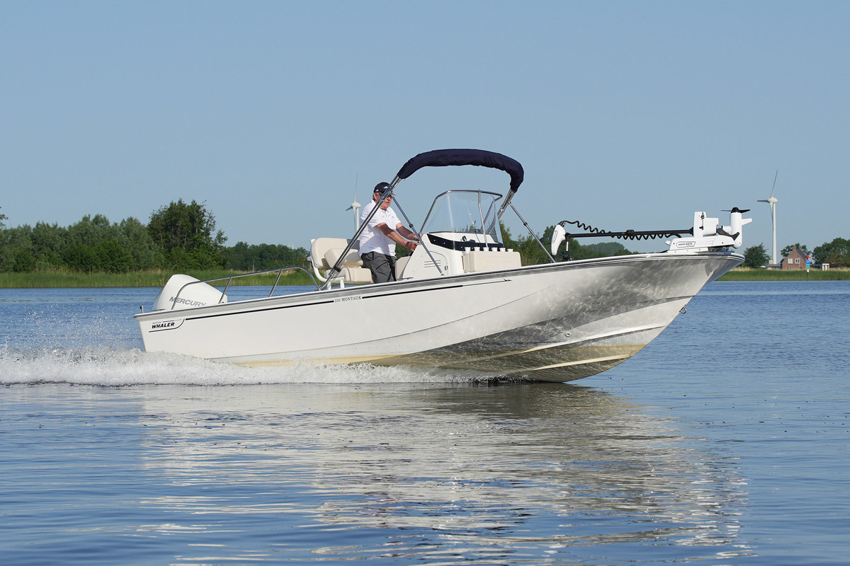 foto: 48 Boston Whaler 210 Montauk