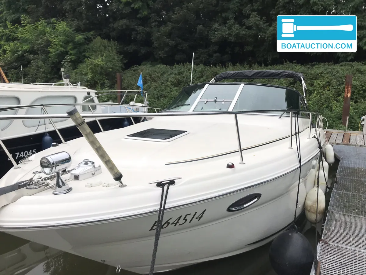Sea Ray Amberjack 315