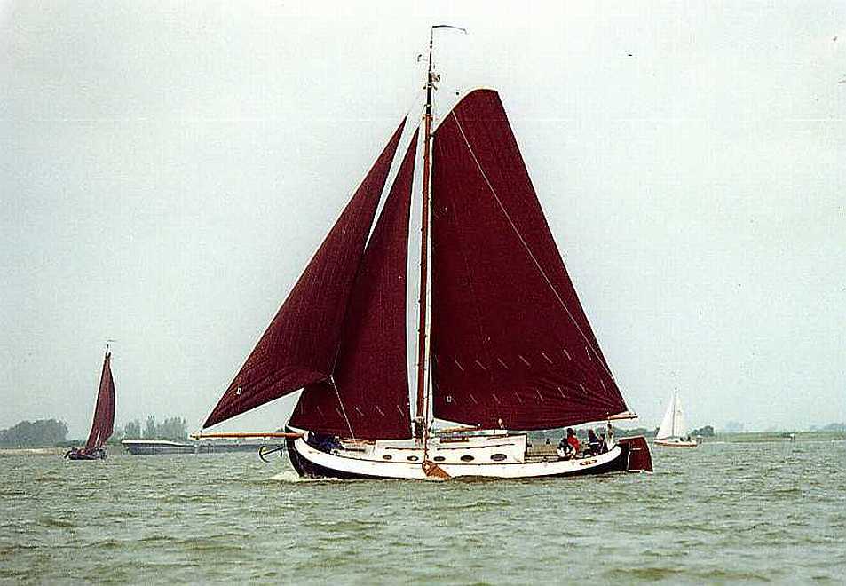 foto: 34 Blom Lemsteraak 12.10 Roefaak