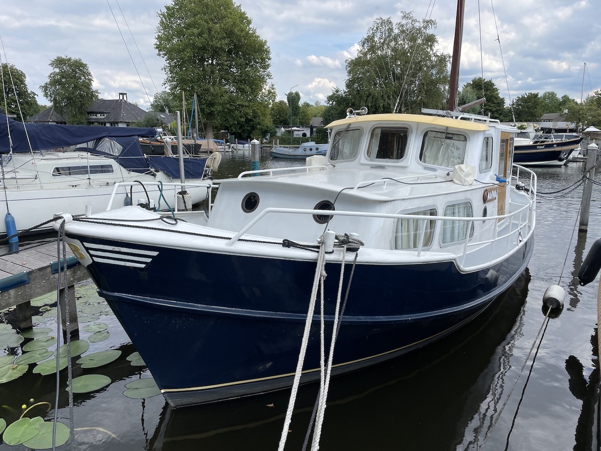 foto: 25 Beenhakker kotter 900