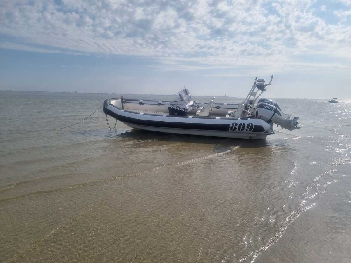 foto: 11 Workrib Holland Hammer 809