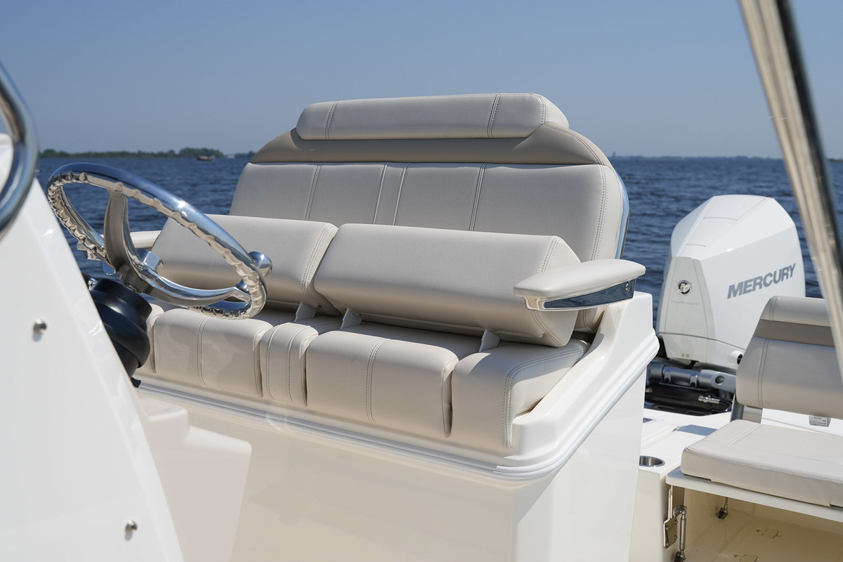 foto: 37 Boston Whaler 250 Dauntless