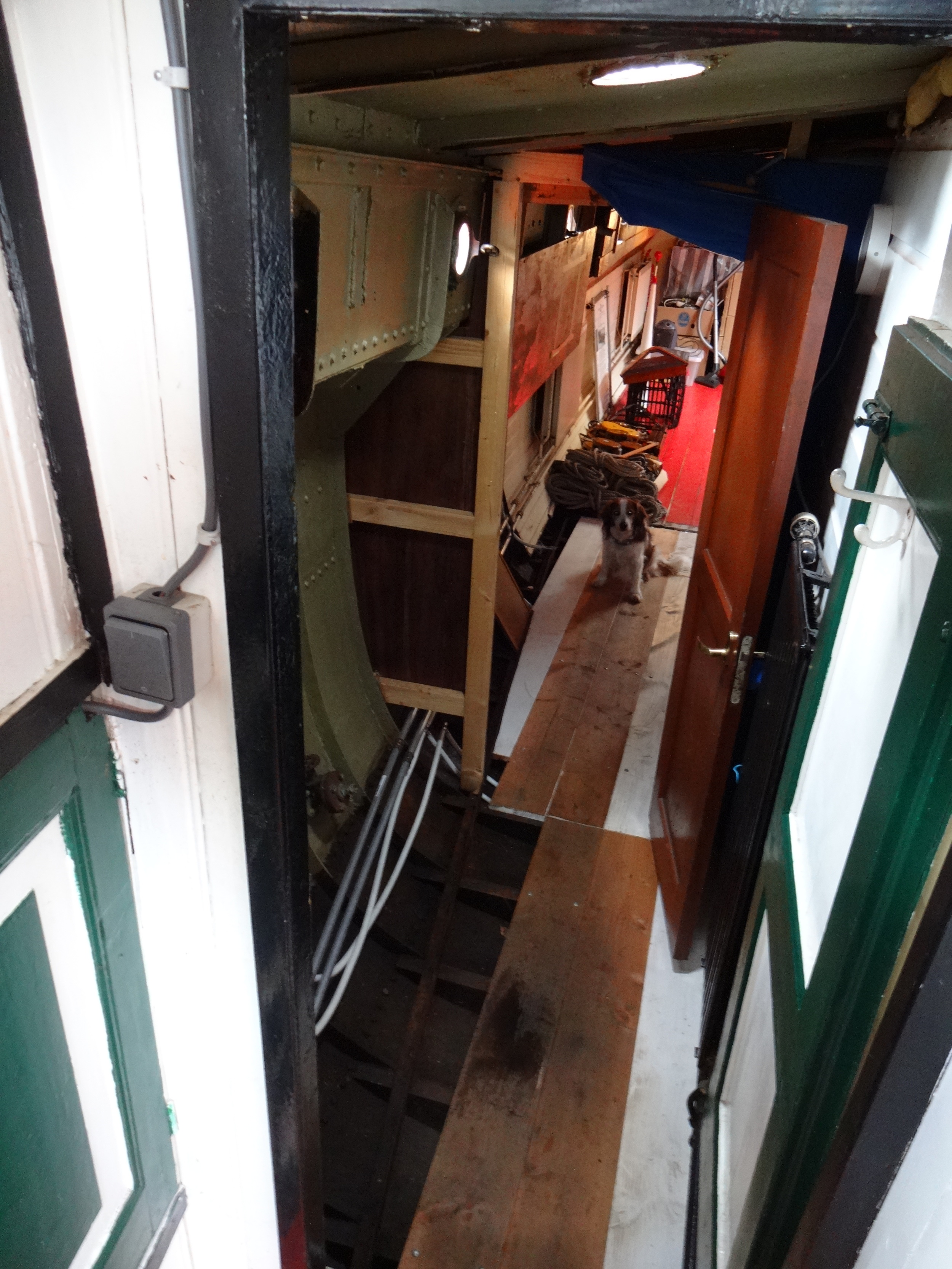 foto: 48 Hagenaar 25.15