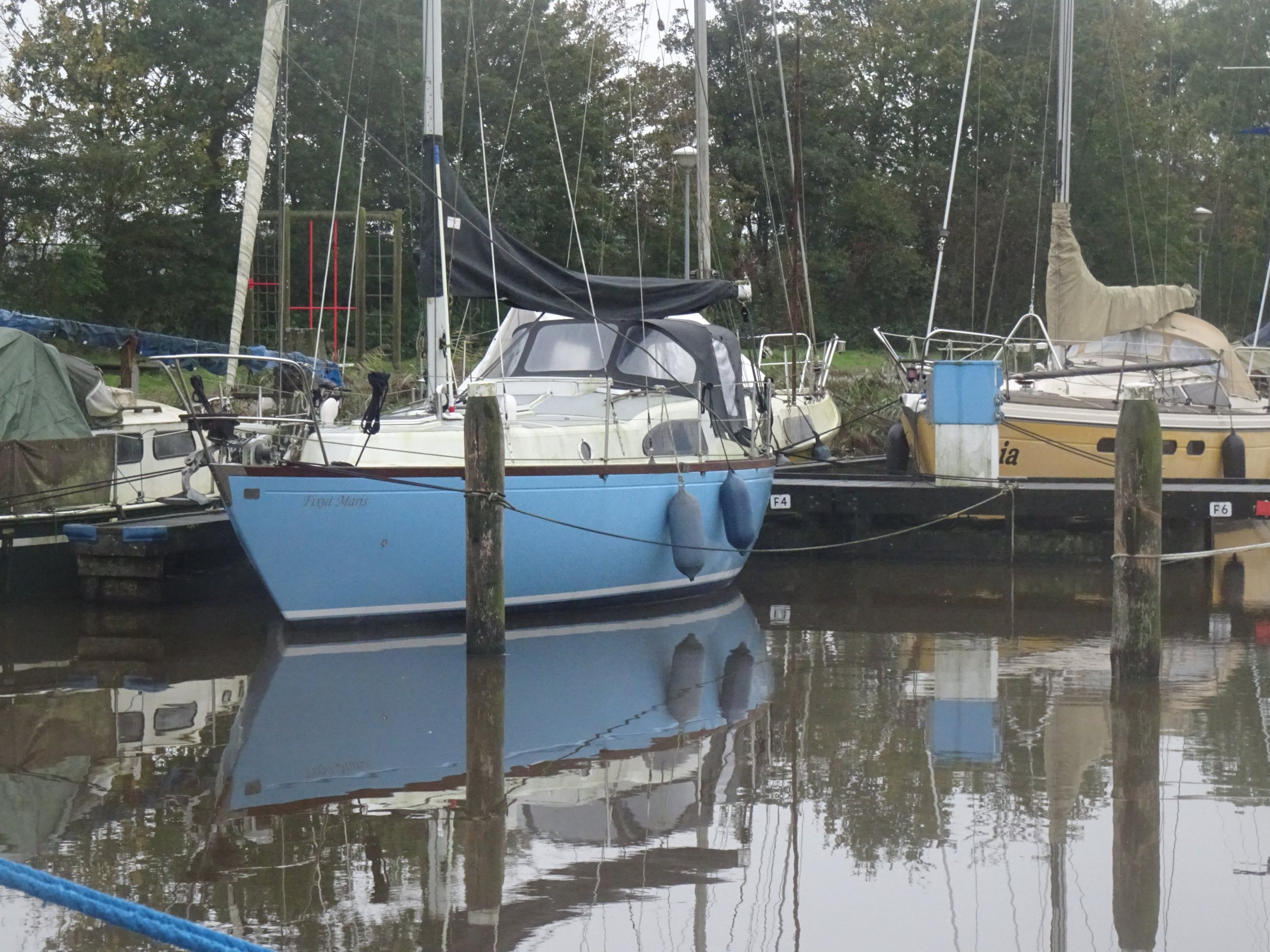 foto: 4 Dufour Arpege