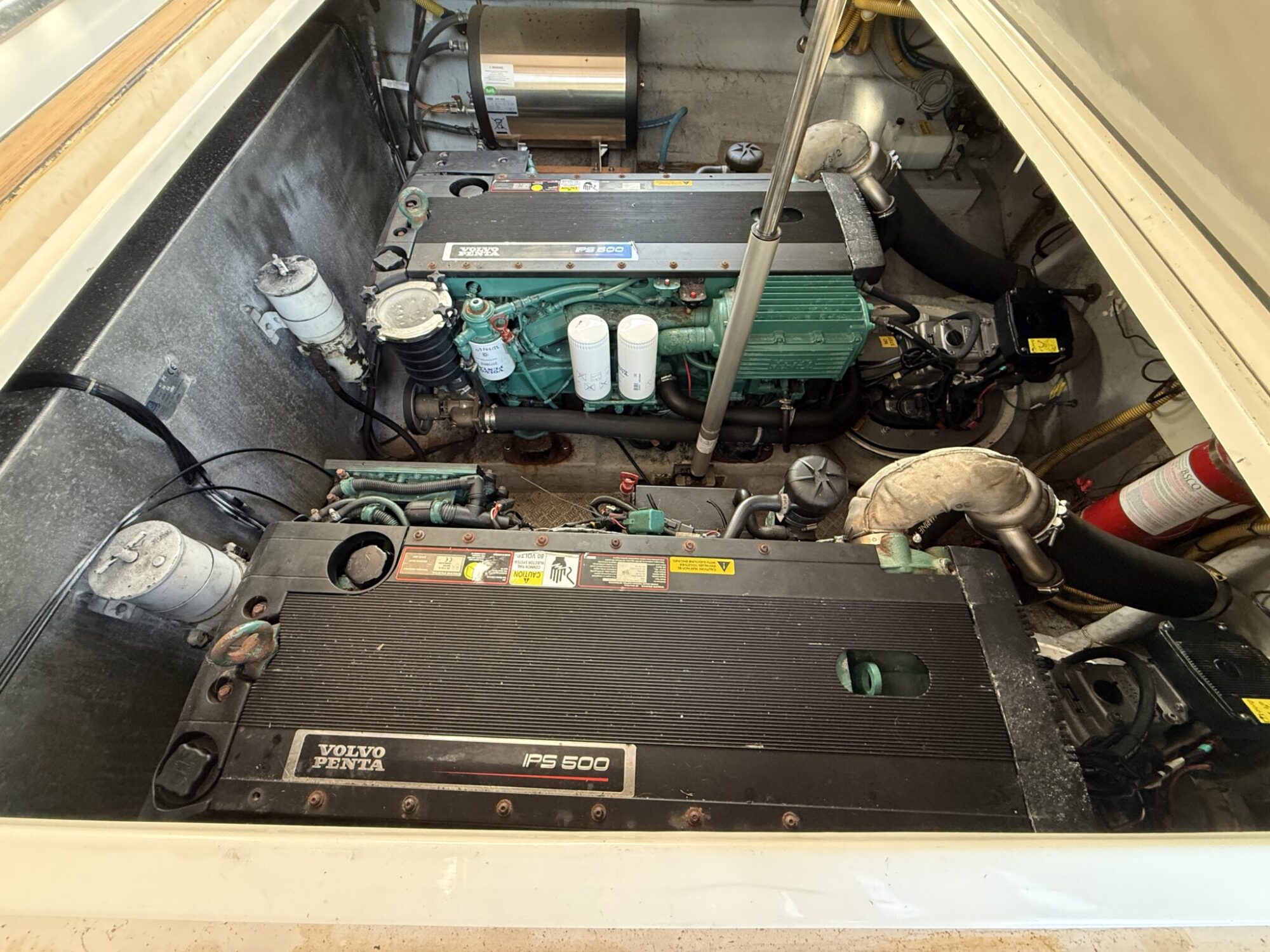 foto: 38 Rodman Rodman 44 Muse IPS