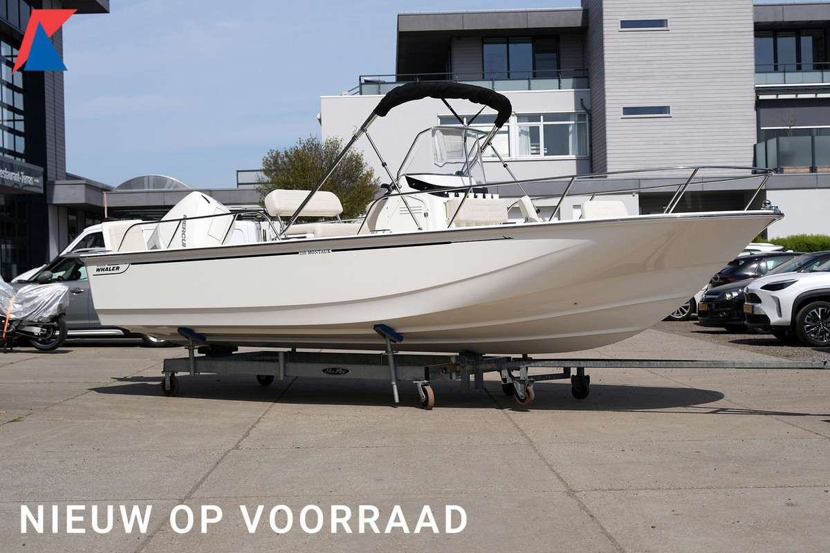 foto: 43 Boston Whaler 210 Montauk