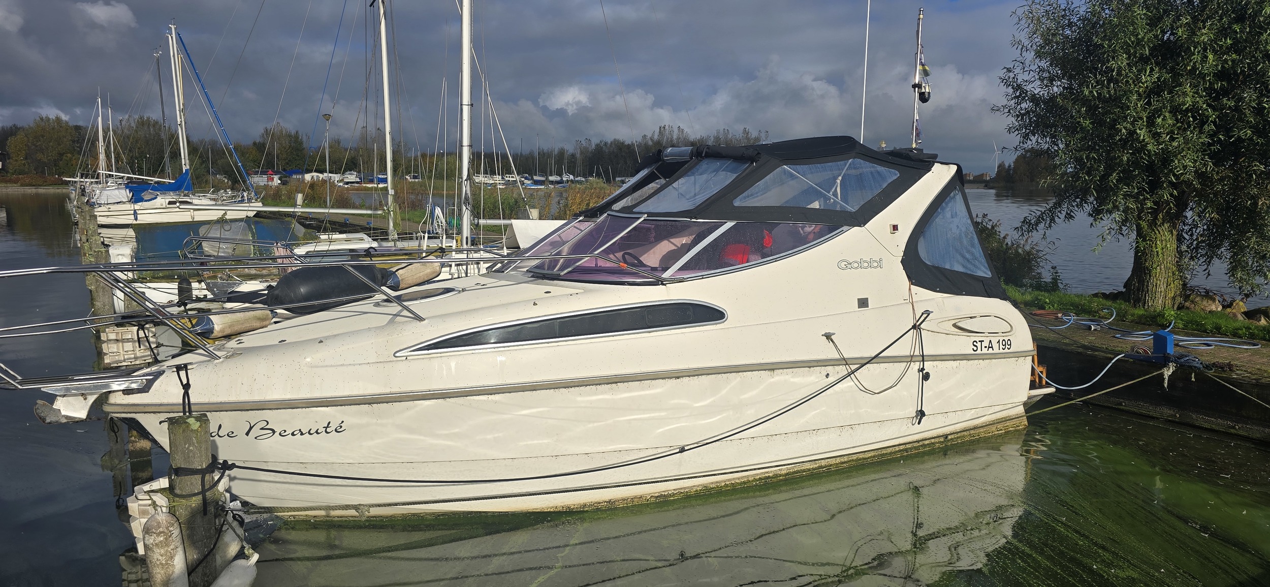 foto: 40 Gobbi 245 Cabin