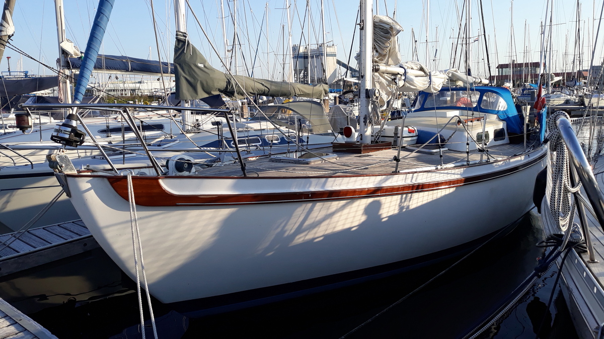 foto: 53 Tradewind 33