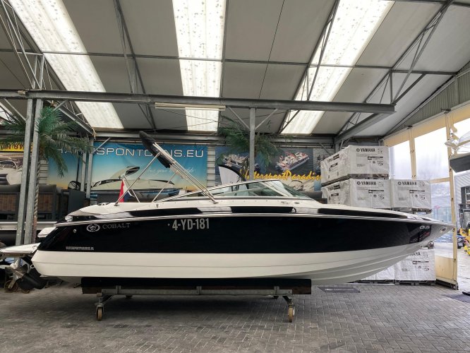 foto: 31 Cobalt 240 Bowrider