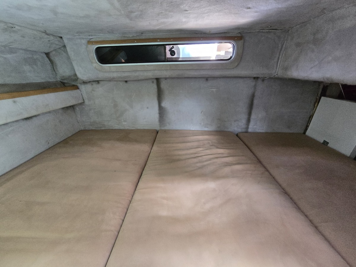 foto: 19 Sea Ray 220DA