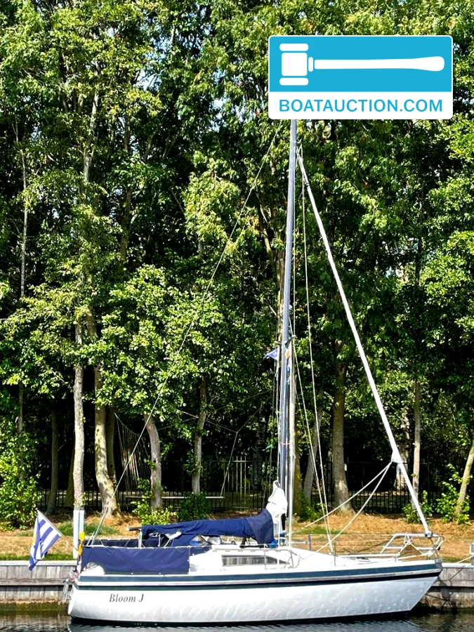 foto: 11 Piewiet 850