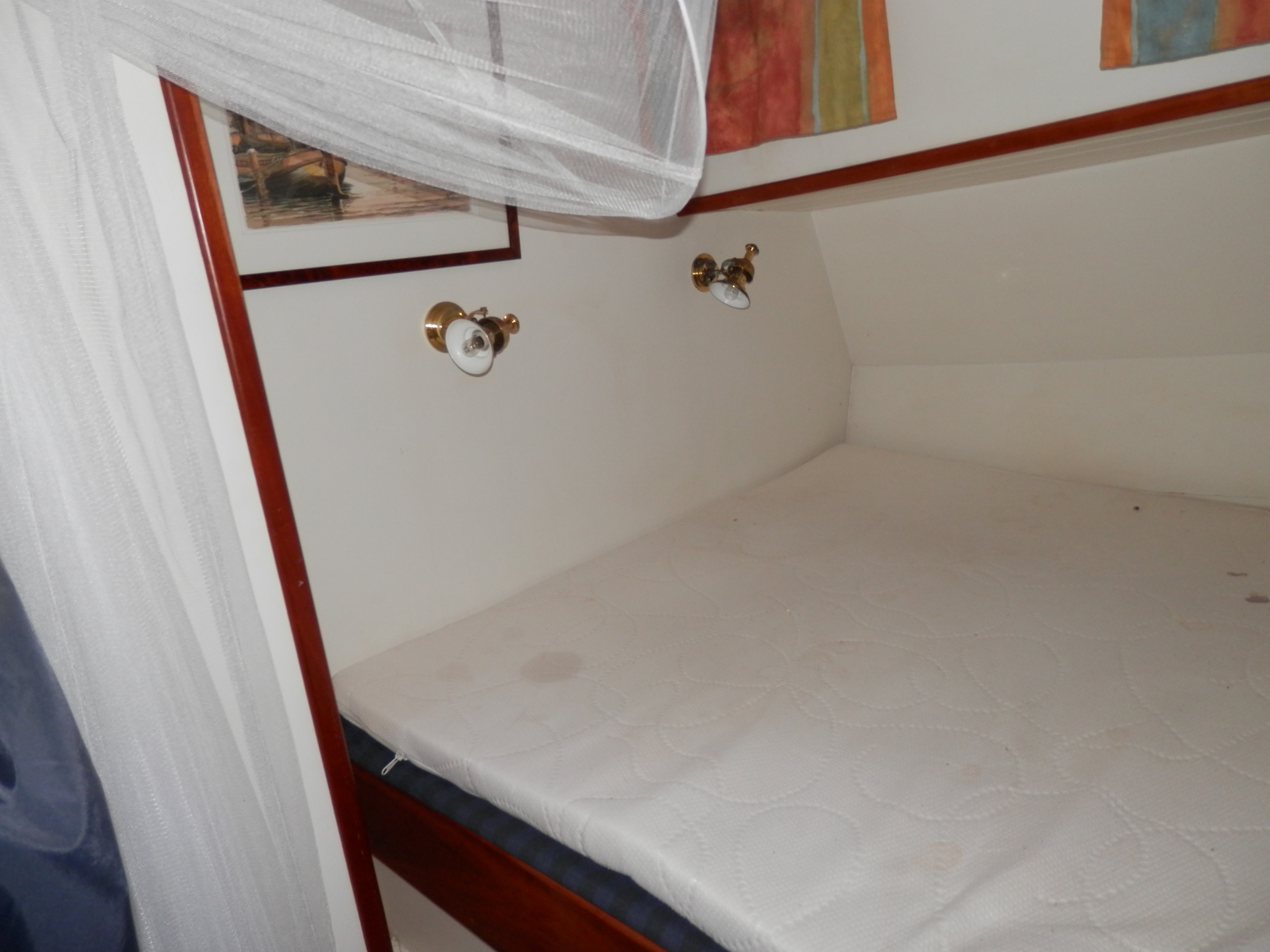 foto: 23 Blom Lemsteraak 12.10 Roefaak