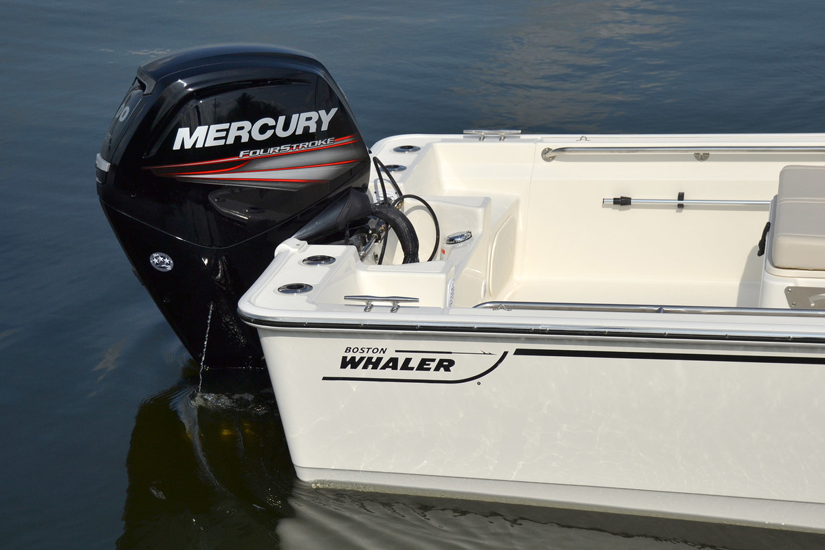 foto: 44 Boston Whaler 170 Montauk