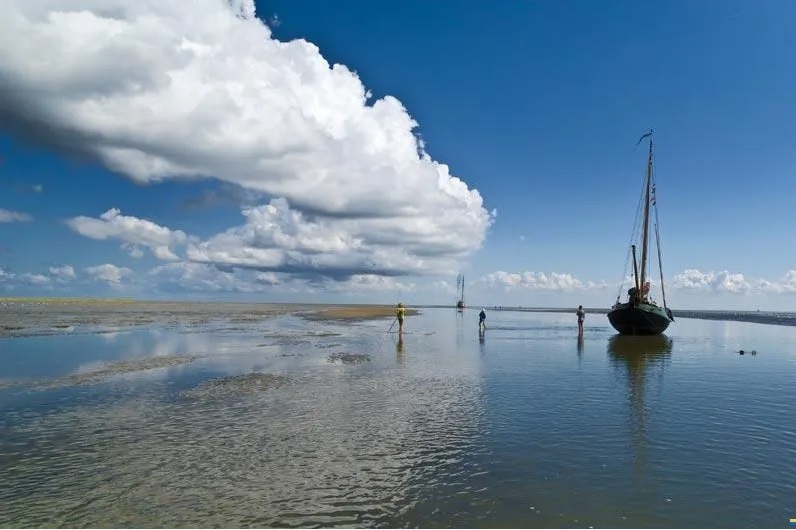 foto: 22 Schokker 9.74