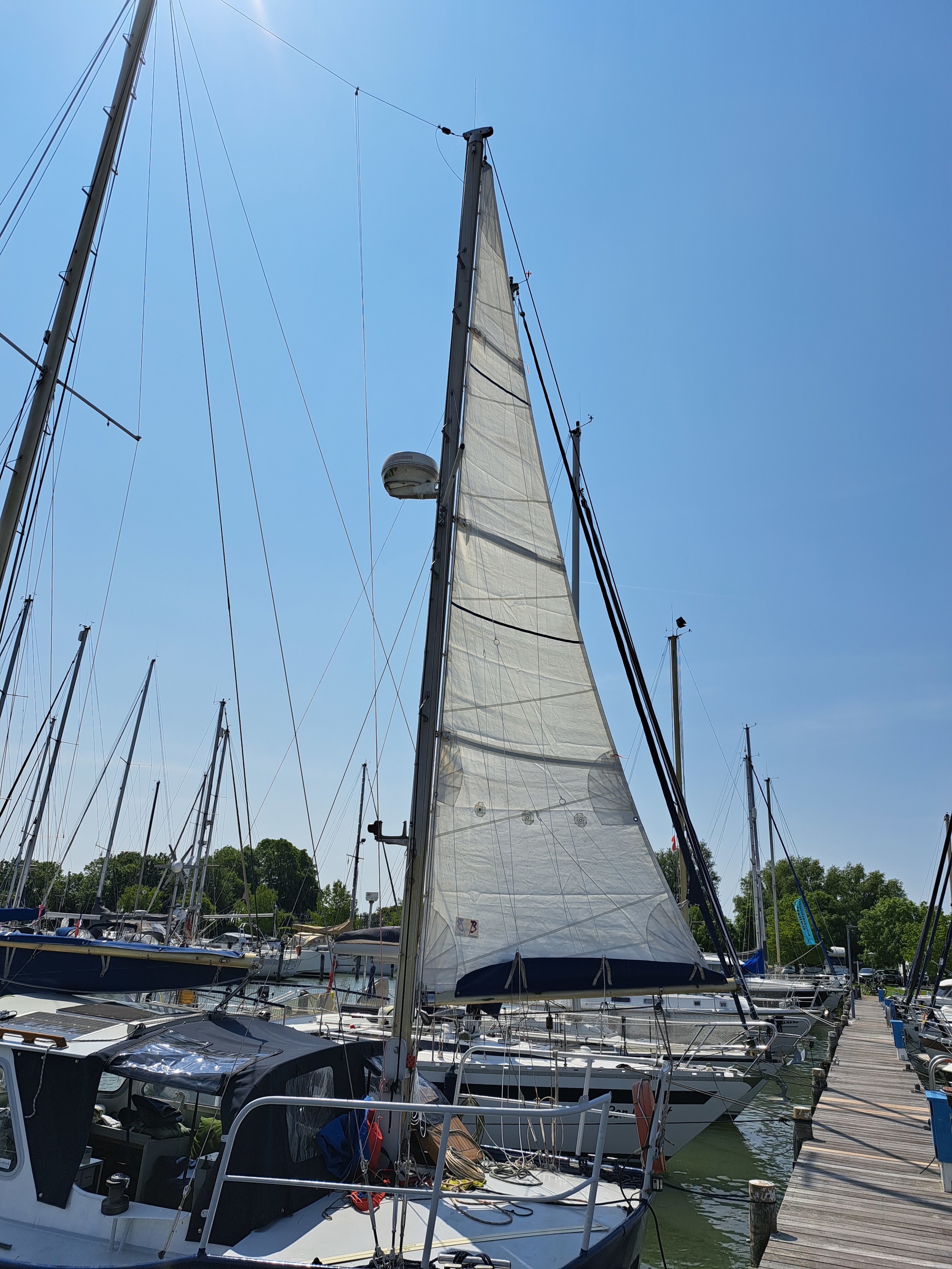 foto: 108 Pieter Beeldsnijder Gouwzee 3A