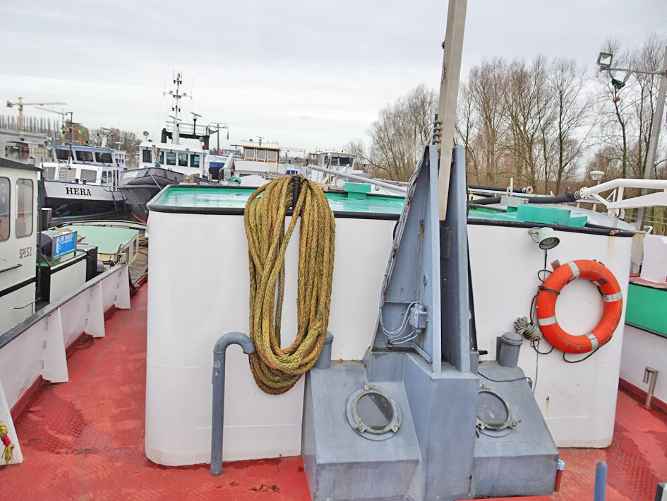 foto: 53 Kempenaar 59.96