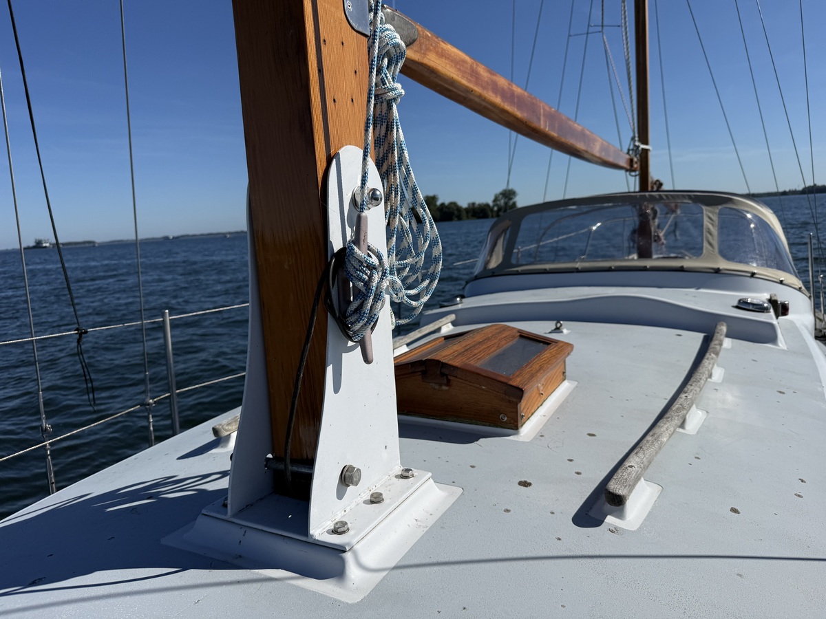 foto: 37 Seadog 30