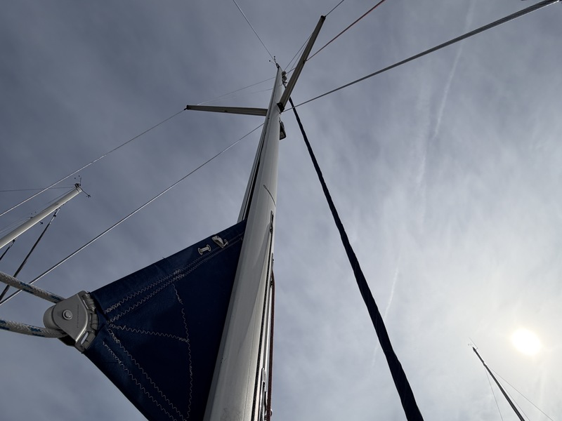 foto: 30 Bavaria 31 Cruiser