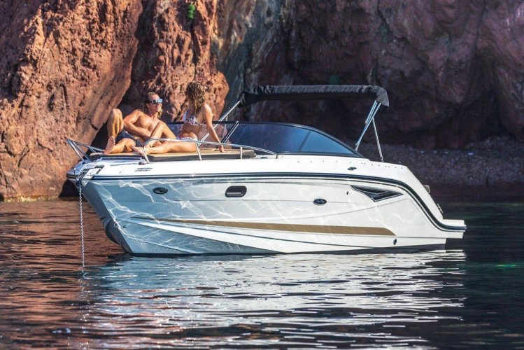 foto: 6 Sea Ray Sun Sport 250