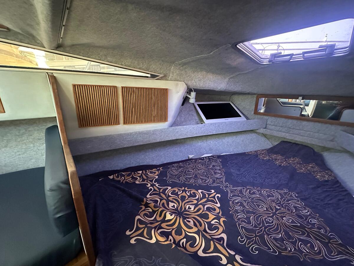 foto: 20 Sea Ray 268 Sundancer