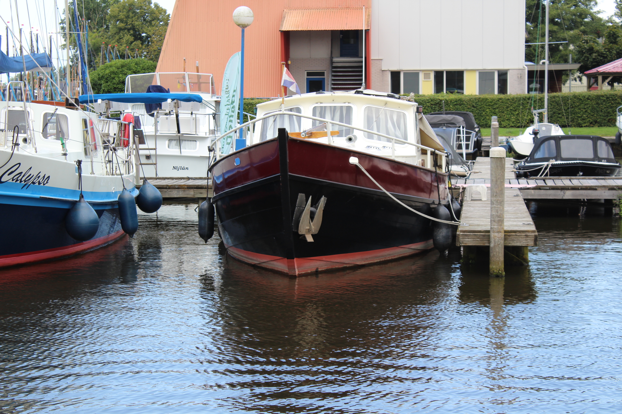 foto: 35 Danish Rose MS 31