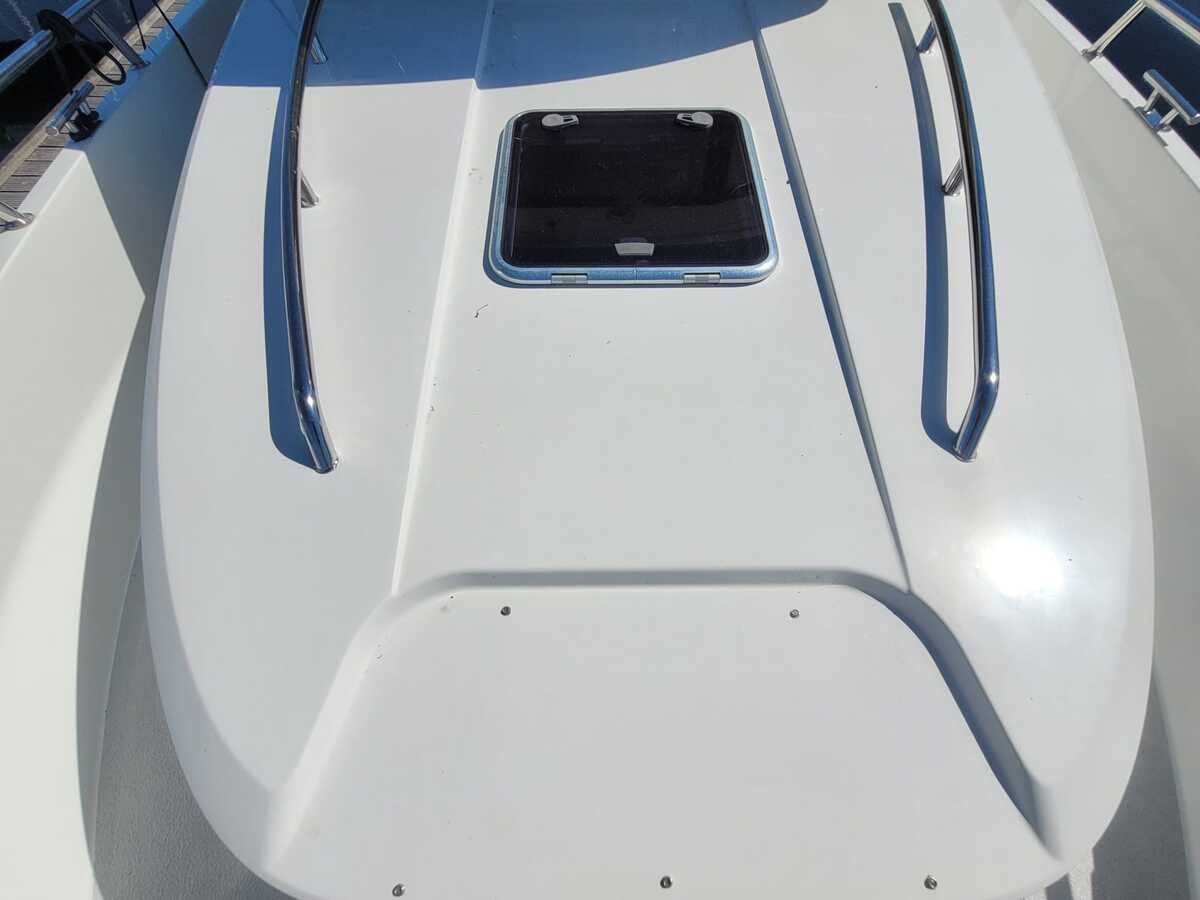 foto: 28 Sargo 36