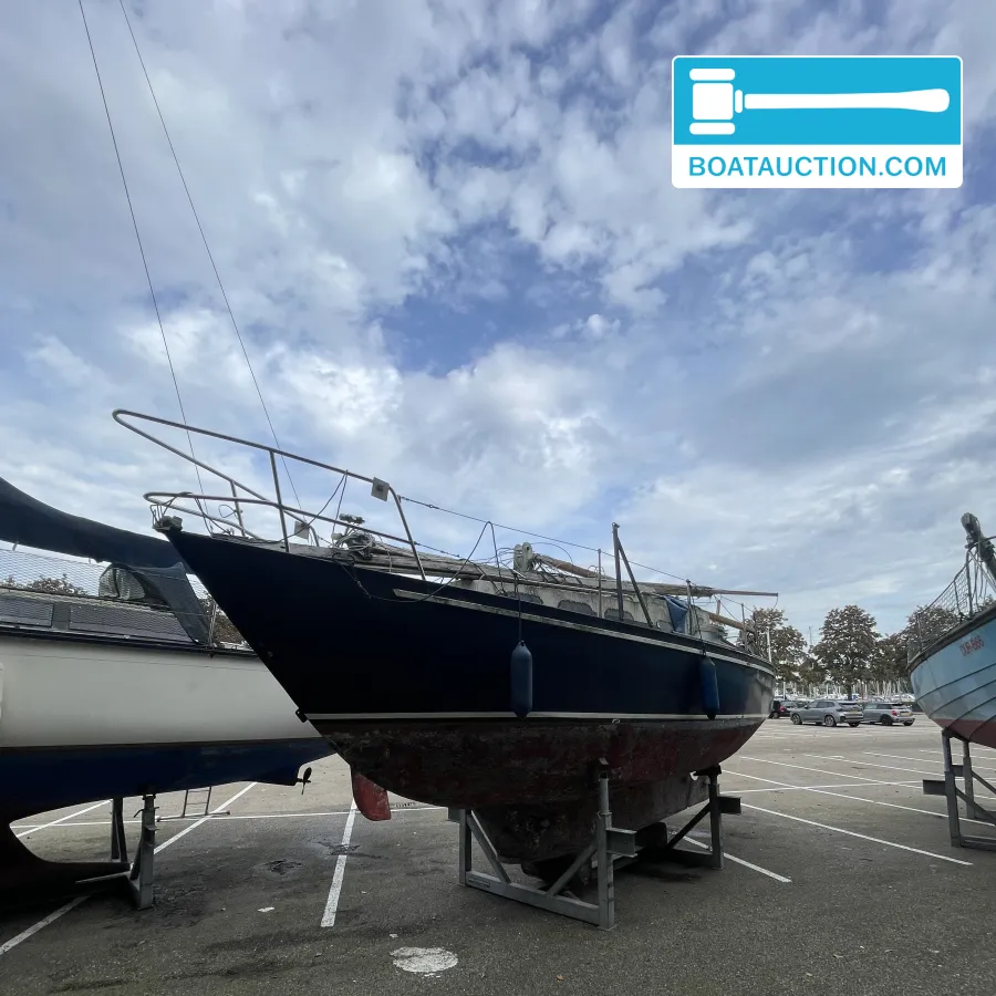 foto: 38 Friesland 860