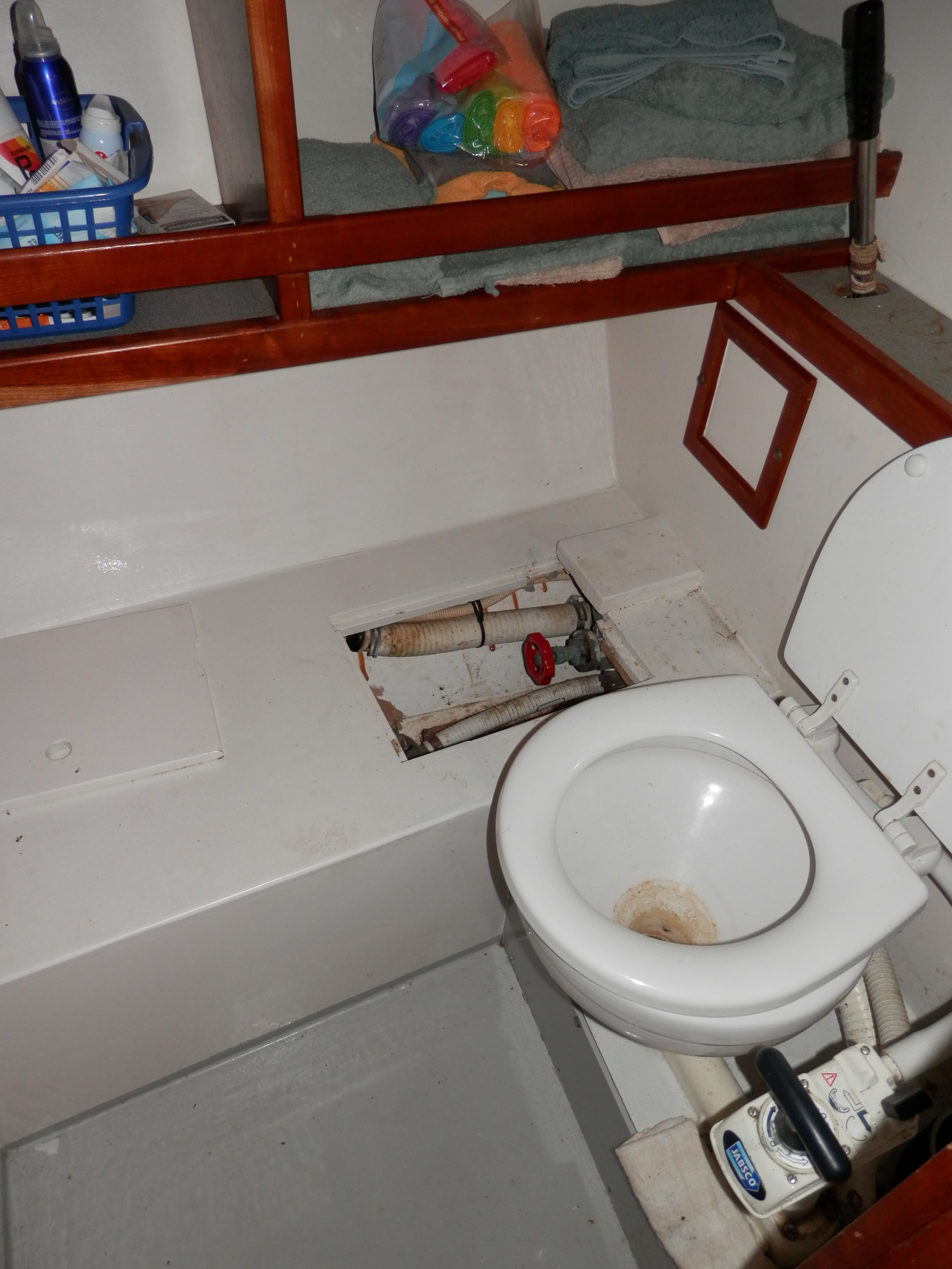 foto: 25 Blom Lemsteraak 12.10 Roefaak