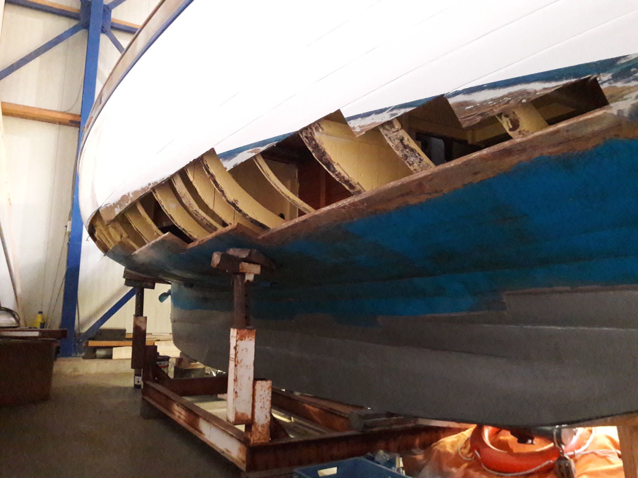 foto: 10 Zweedse Spitsgatter 9.50