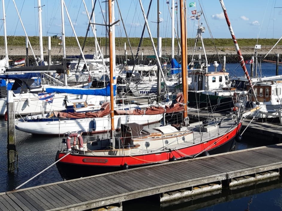 foto: 14 Danish Rose 31