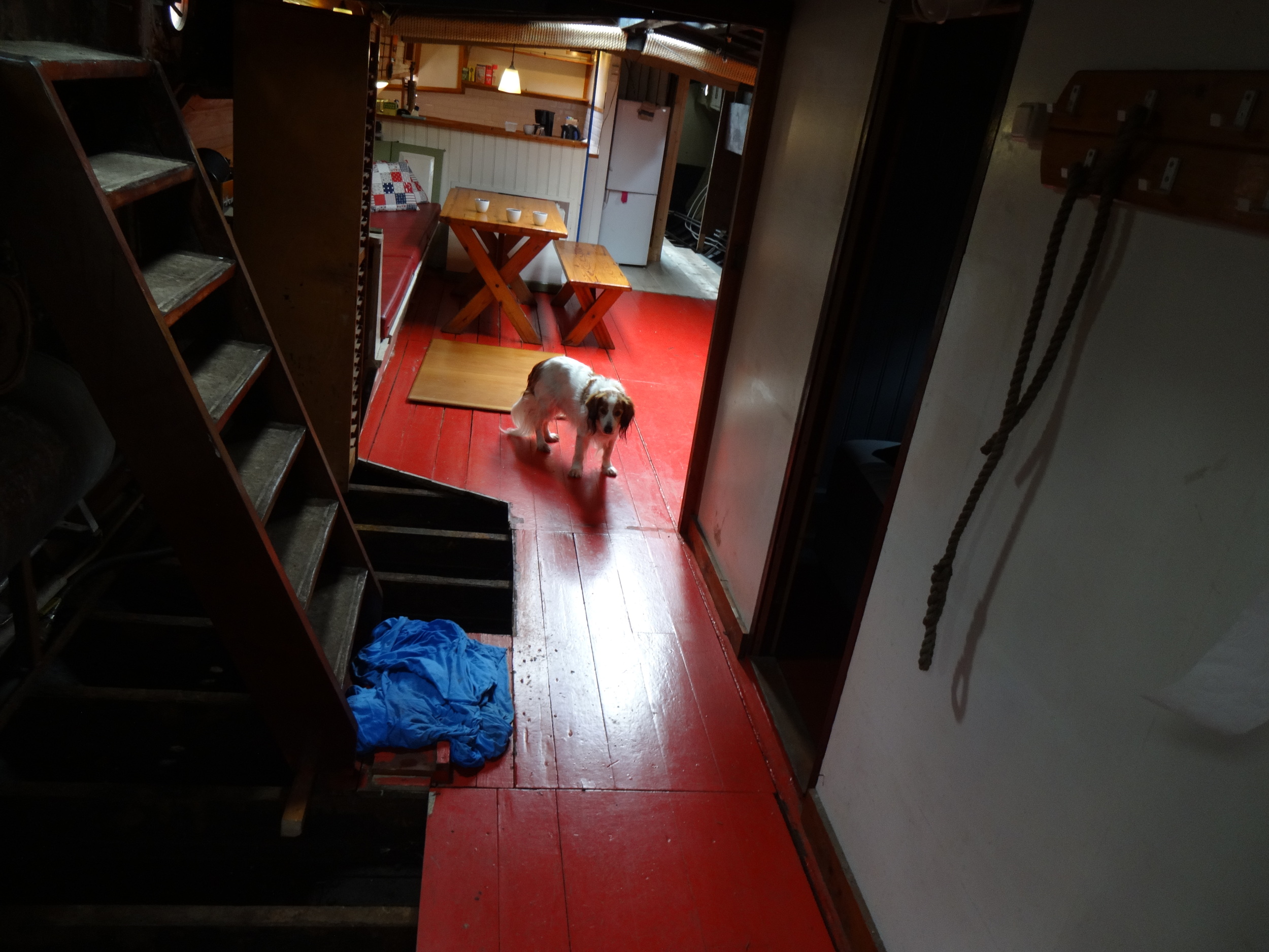 foto: 51 Hagenaar 25.15