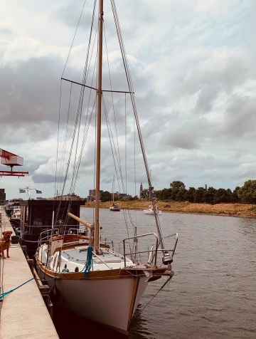 foto: 4  Colvic  Watson 9,00