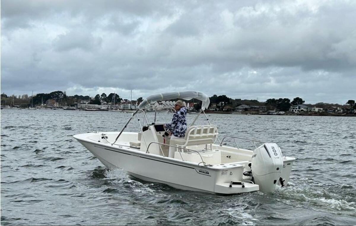 foto: 8 Boston Whaler 210 Montauk