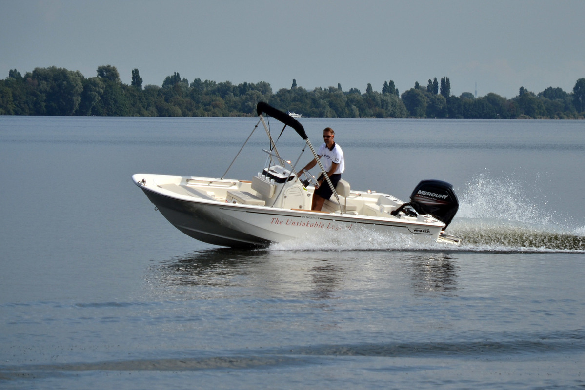 foto: 47 Boston Whaler 170 Montauk