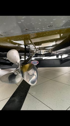 foto: 10 Sanger Panic Mouse