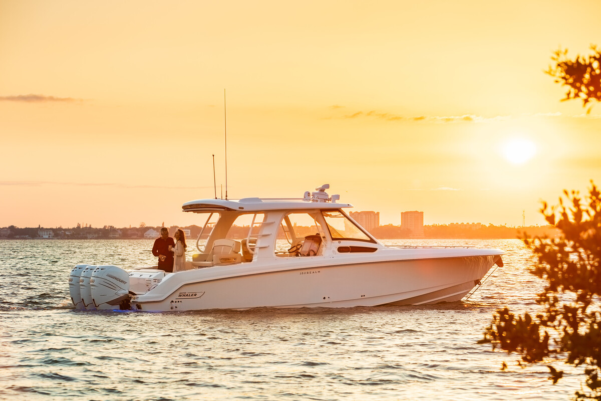foto: 50 Boston Whaler 350 Realm
