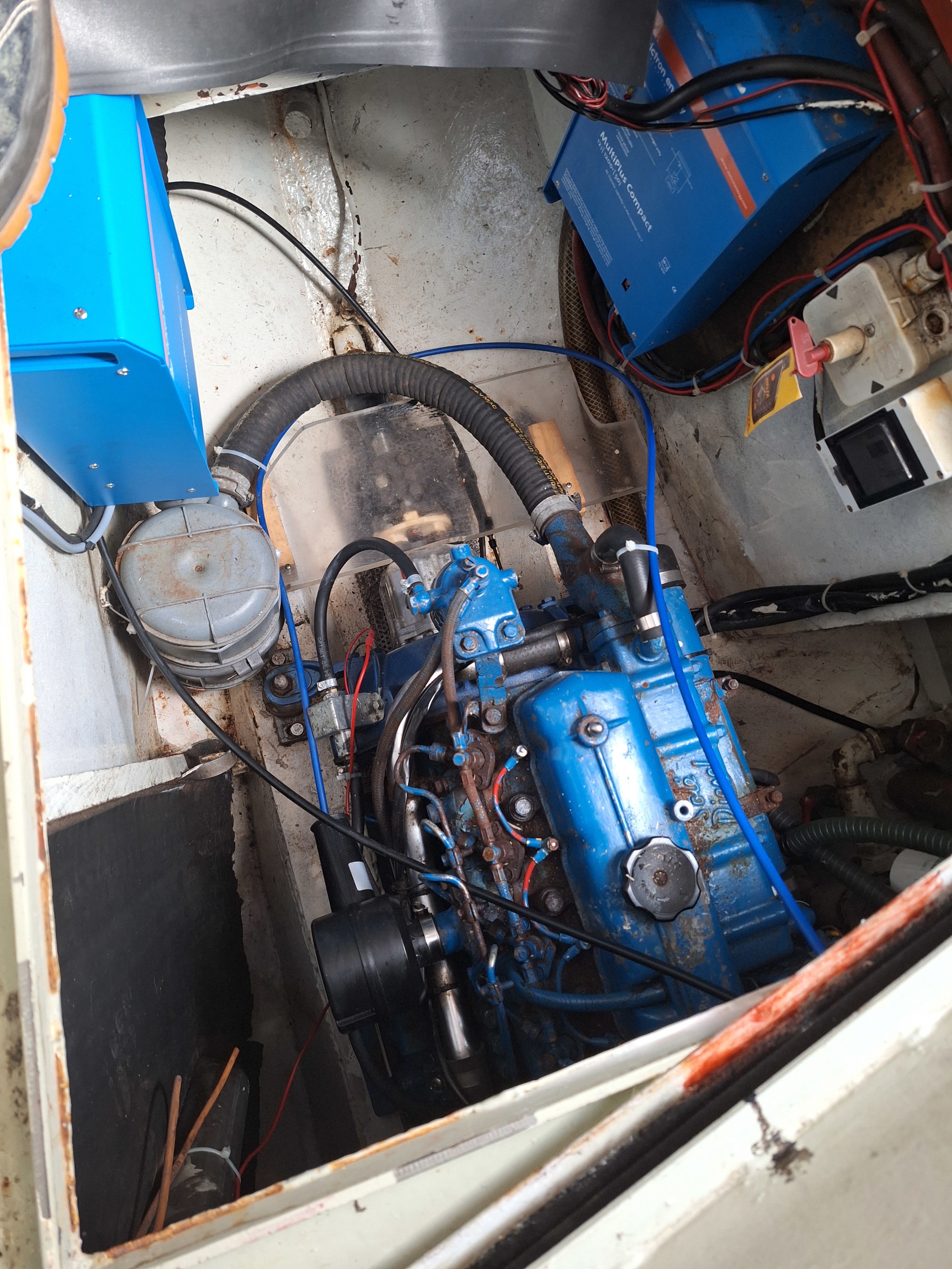 foto: 15 Danish Rose 31