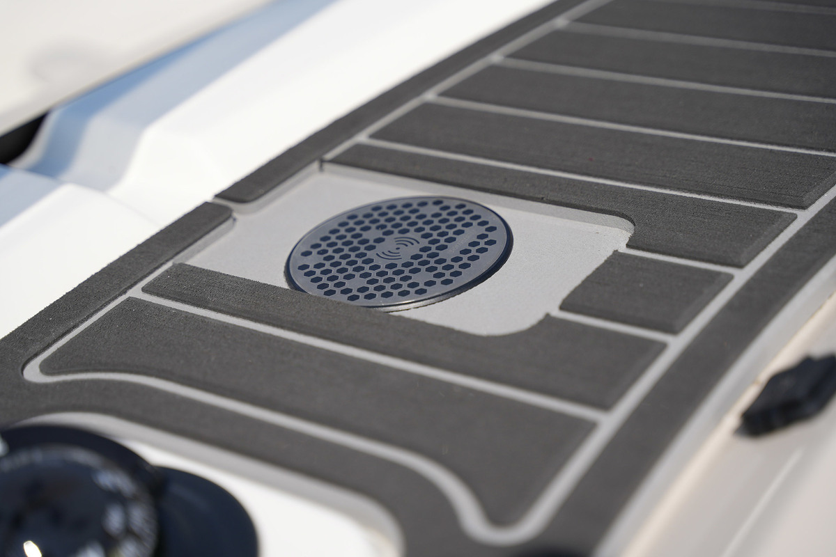 foto: 34 Boston Whaler 250 Dauntless