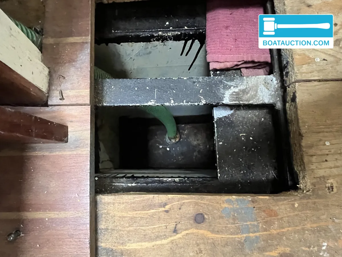 foto: 10 Danish Rose 31